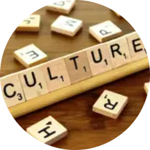 la-culture-harpanetflex-1