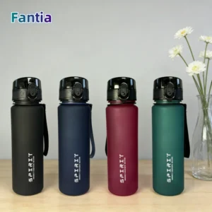 Bouteille sport givree 650ml paille silicone